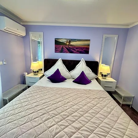 Daire Charming With Garden, Free Parking Near Basel, Airport, Ger'many, France, *