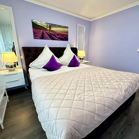 Apartament Charming With Garden, Free Parking Near Basel, Airport, Ger'many, France,