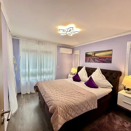 Charming With Garden, Free Parking Near Basel, Airport, Ger'many, France, Apartament Saint-Louis (Haut-Rhin)