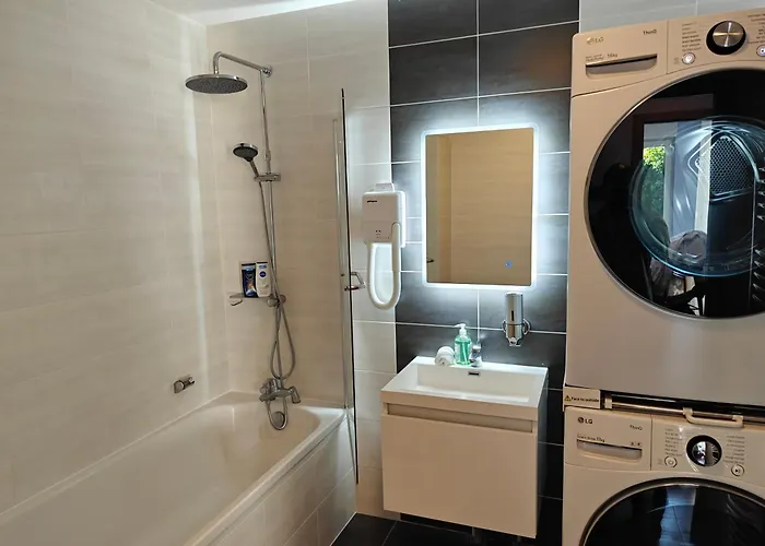 Charming With Garden, Free Parking Near Basel, Airport, Ger'many, France, Apartamento