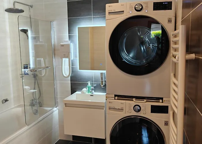 Apartamento Charming With Garden, Free Parking Near Basel, Airport, Ger'many, France, Saint-Louis (Haut-Rhin)